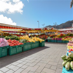 De Beste Plekken om te Genieten van de Lokale Markten op Gran Canaria