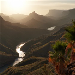 De Beste Plekken om te Zonnen op Gran Canaria