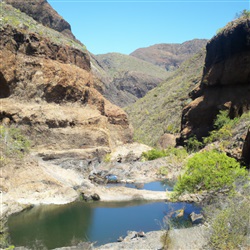 De ultieme gids: De beste plekken om te genieten van de rivieren op Gran Canaria