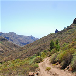 Ontdek de adembenemende wandelpaden in de bergen van Gran Canaria!