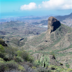 Ontdek de Beste Plekken om te Genieten van Lokale Likeuren op Gran Canaria